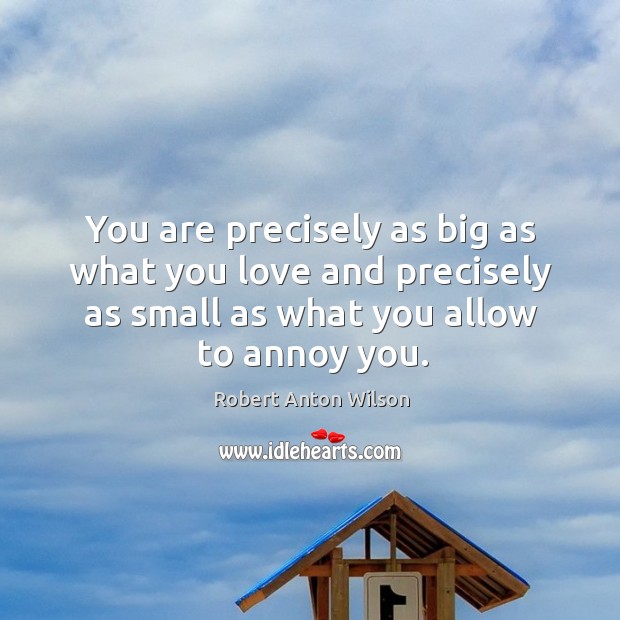 You are precisely as big as what you love and precisely as small as what you allow to annoy you. Image