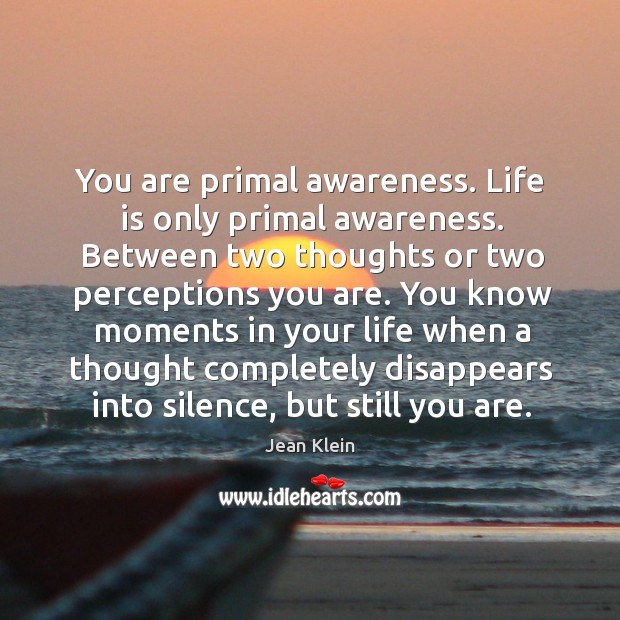 You are primal awareness. Life is only primal awareness. Between two thoughts Jean Klein Picture Quote