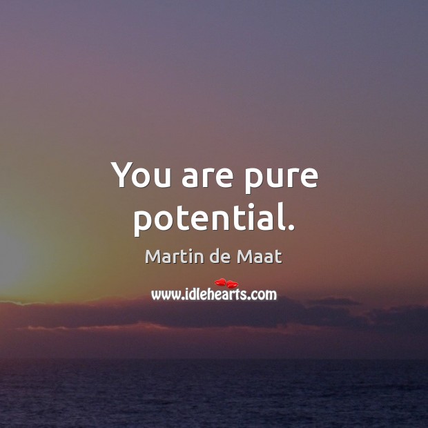 You are pure potential. Martin de Maat Picture Quote
