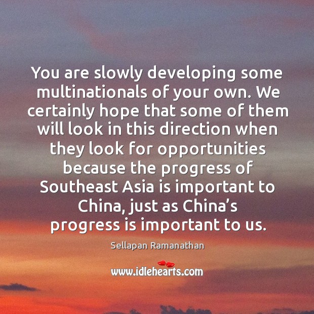 You are slowly developing some multinationals of your own. Sellapan Ramanathan Picture Quote