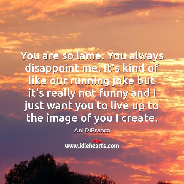 You are so lame. You always disappoint me. It’s kind of like Ani DiFranco Picture Quote
