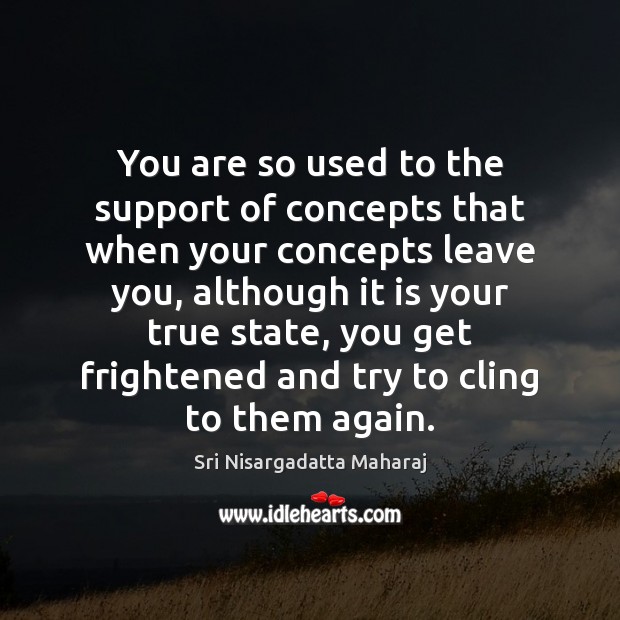 You are so used to the support of concepts that when your Sri Nisargadatta Maharaj Picture Quote