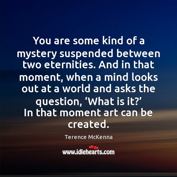 You are some kind of a mystery suspended between two eternities. And Terence McKenna Picture Quote
