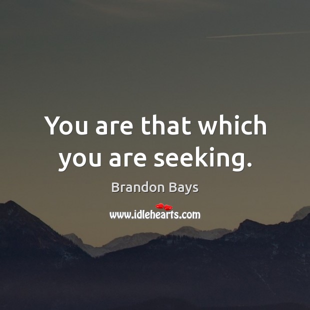 You are that which you are seeking. Brandon Bays Picture Quote