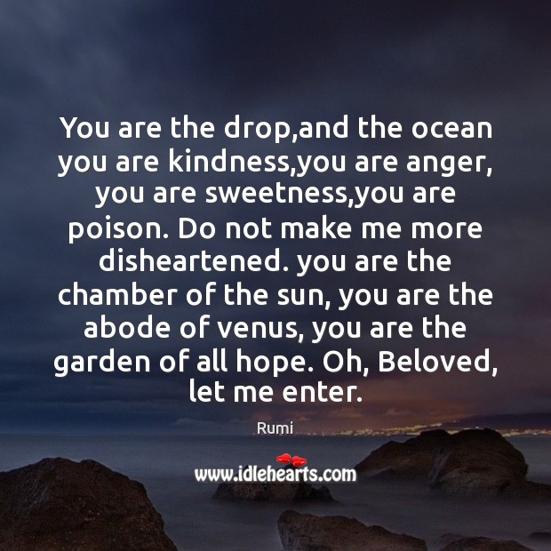 You are the drop,and the ocean you are kindness,you are Rumi Picture Quote