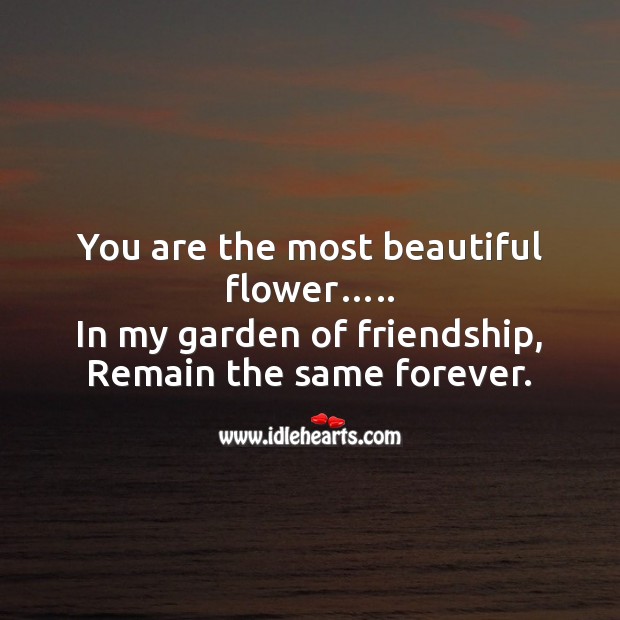 You are the most beautiful flower in my garden of friendship Image