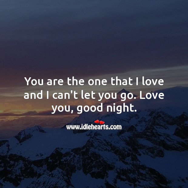 You are the one that I love and I can’t let you go. Love you, good night. Good Night Quotes for Love Image