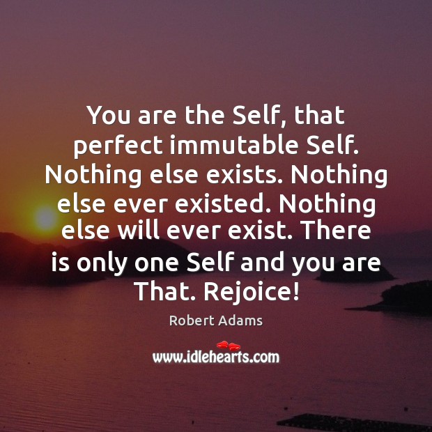 You are the Self, that perfect immutable Self. Nothing else exists. Nothing Image