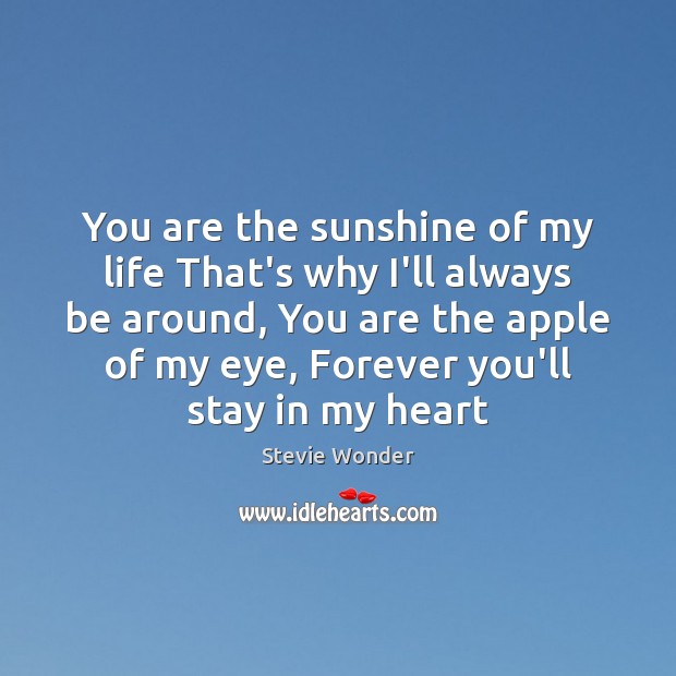 You Are The Sunshine Of My Life That S Why I Ll Always Be Idlehearts
