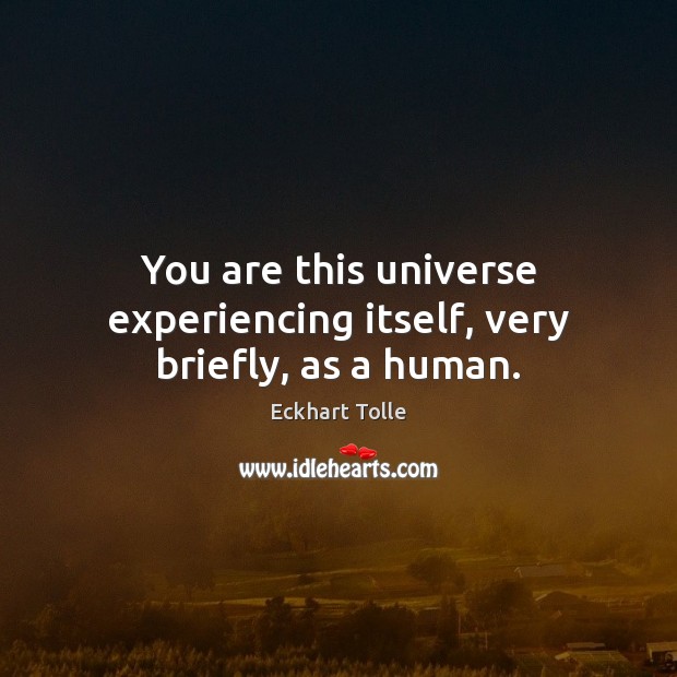 You are this universe experiencing itself, very briefly, as a human. Image