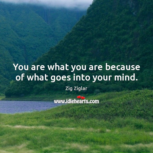You are what you are because of what goes into your mind. Zig Ziglar Picture Quote