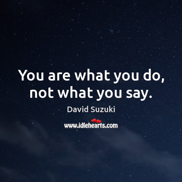 You are what you do, not what you say. David Suzuki Picture Quote