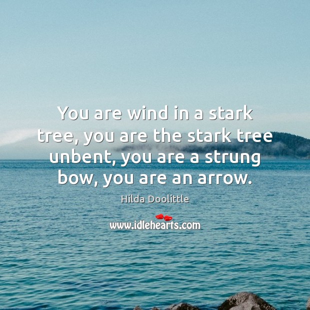 You are wind in a stark tree, you are the stark tree Hilda Doolittle Picture Quote