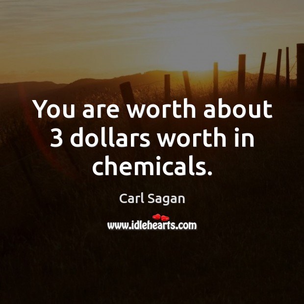 You are worth about 3 dollars worth in chemicals. Carl Sagan Picture Quote
