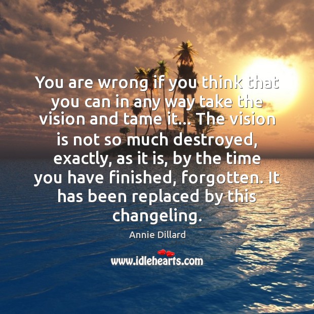 You are wrong if you think that you can in any way Annie Dillard Picture Quote