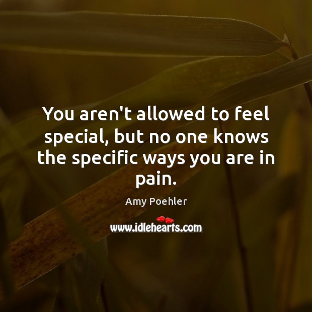 You aren’t allowed to feel special, but no one knows the specific ways you are in pain. Amy Poehler Picture Quote