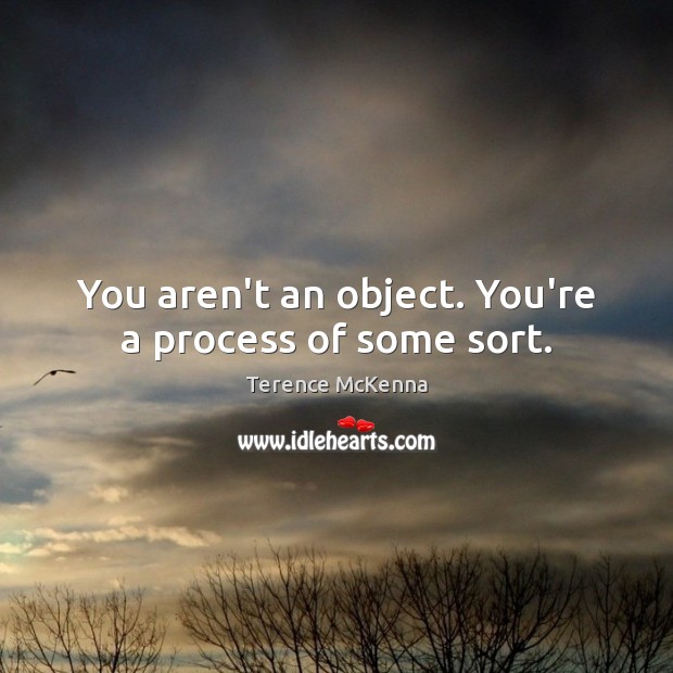 You aren’t an object. You’re a process of some sort. Terence McKenna Picture Quote
