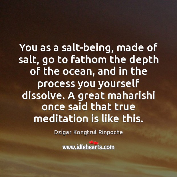 You as a salt-being, made of salt, go to fathom the depth Dzigar Kongtrul Rinpoche Picture Quote