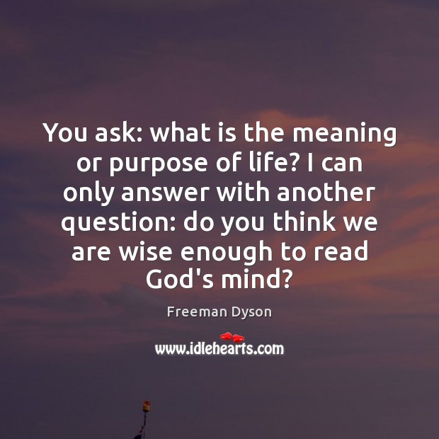 You ask: what is the meaning or purpose of life? I can Image