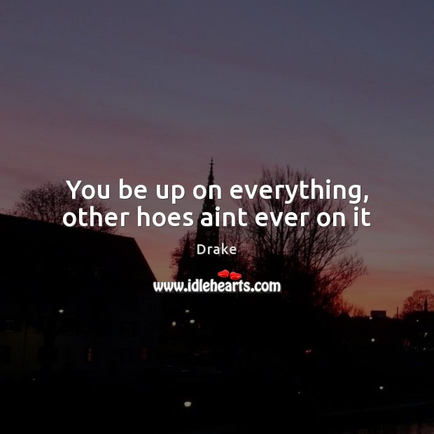 You be up on everything, other hoes aint ever on it Drake Picture Quote