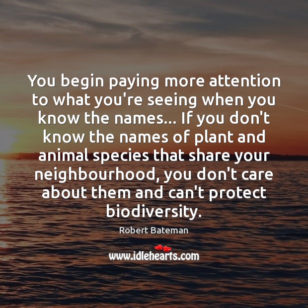You begin paying more attention to what you’re seeing when you know Image