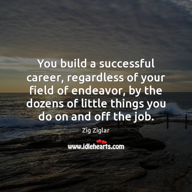 You build a successful career, regardless of your field of endeavor, by Zig Ziglar Picture Quote