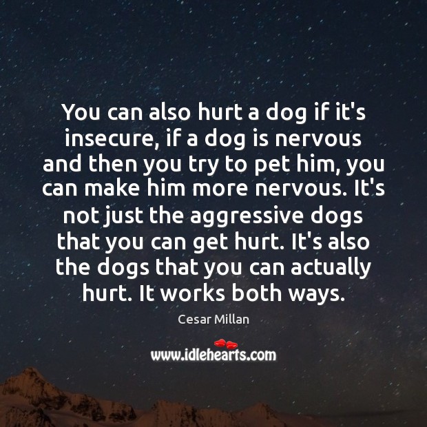 You can also hurt a dog if it’s insecure, if a dog Image