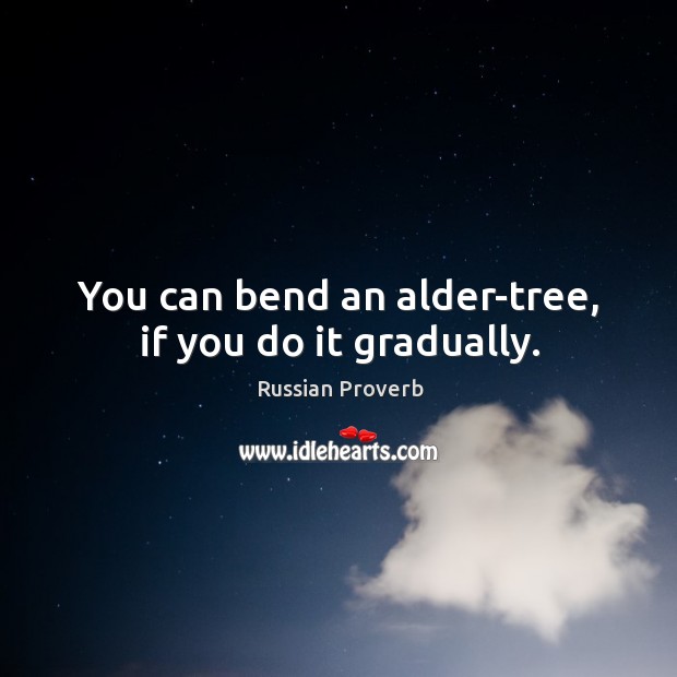 You can bend an alder-tree, if you do it gradually. Russian Proverbs Image