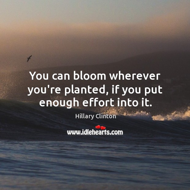 You can bloom wherever you’re planted, if you put enough effort into it. Image