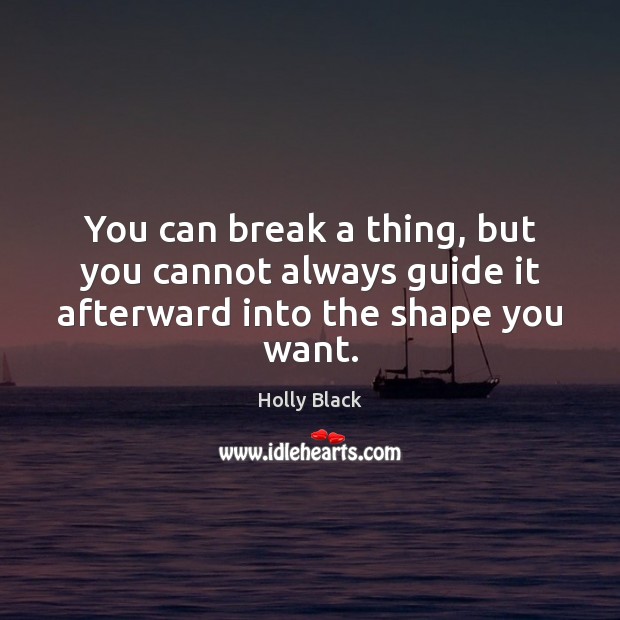 You can break a thing, but you cannot always guide it afterward into the shape you want. Holly Black Picture Quote