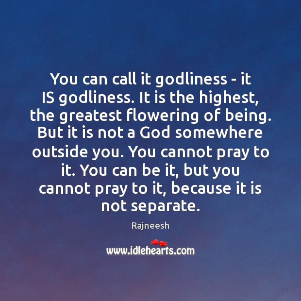 You can call it Godliness – it IS Godliness. It is the Image