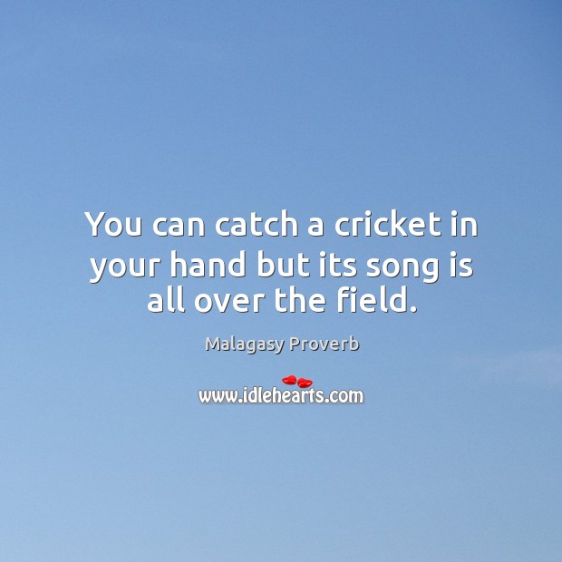You can catch a cricket in your hand but its song is all over the field. Malagasy Proverbs Image