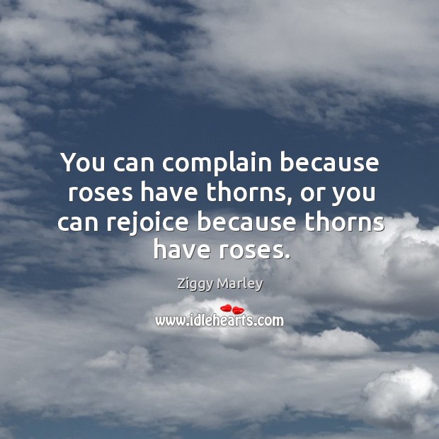 You can complain because roses have thorns, or you can rejoice because thorns have roses. Image