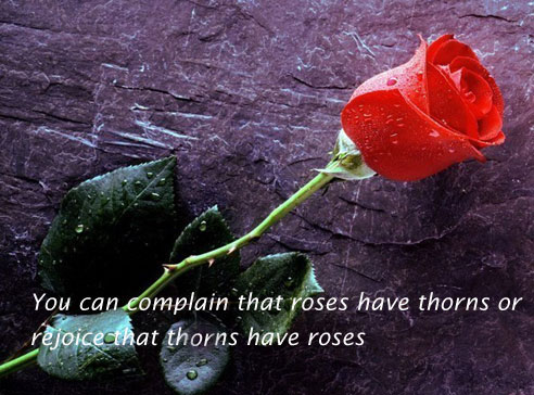 You can complain that roses have thorns or  rejoice Complain Quotes Image