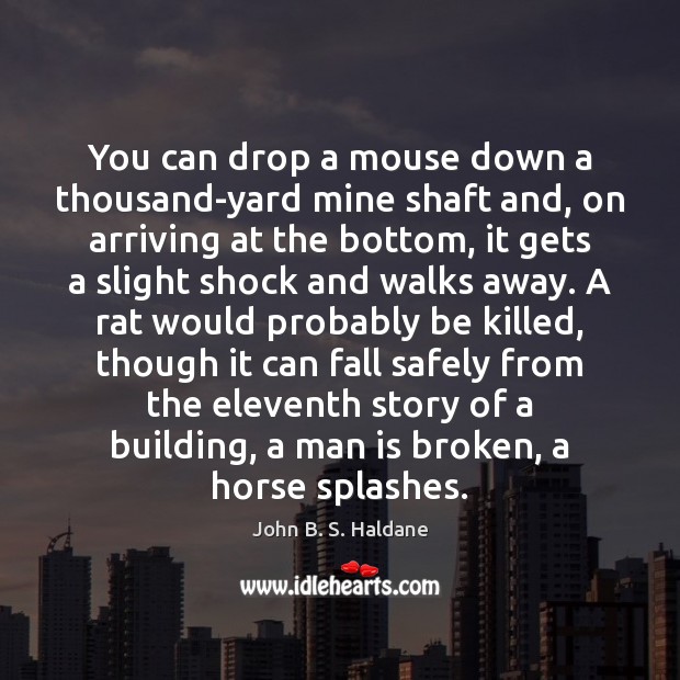 You can drop a mouse down a thousand-yard mine shaft and, on John B. S. Haldane Picture Quote