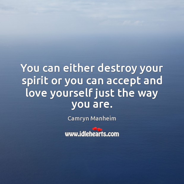 You can either destroy your spirit or you can accept and love Camryn Manheim Picture Quote