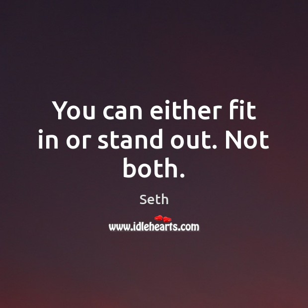You can either fit in or stand out. Not both. Seth Picture Quote