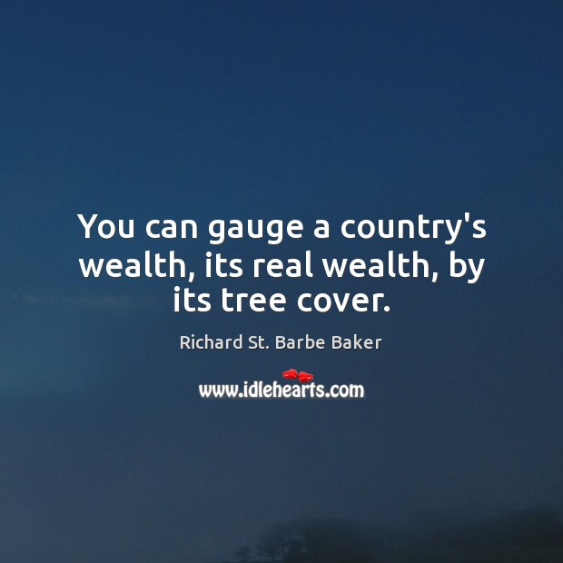 You can gauge a country’s wealth, its real wealth, by its tree cover. Image