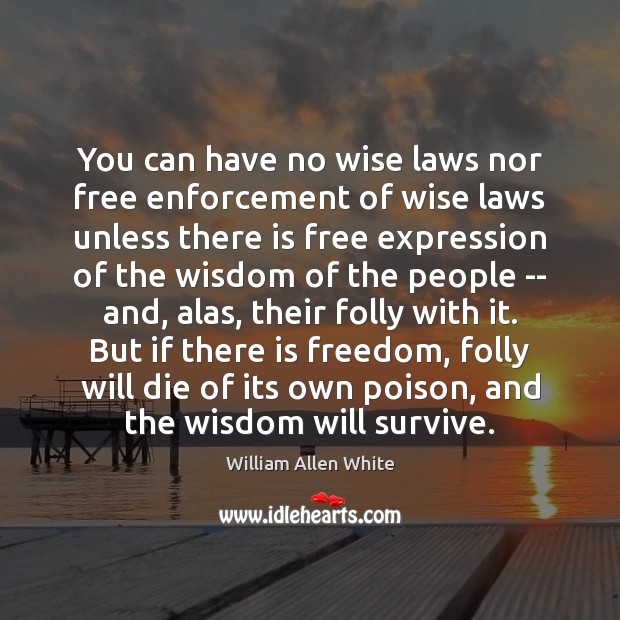 You can have no wise laws nor free enforcement of wise laws William Allen White Picture Quote