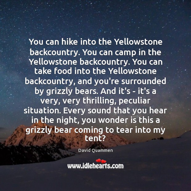 You can hike into the Yellowstone backcountry. You can camp in the David Quammen Picture Quote
