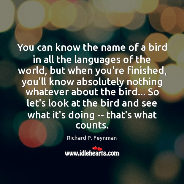 You can know the name of a bird in all the languages Image