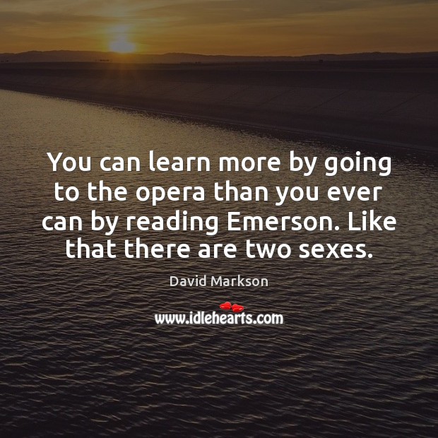 You can learn more by going to the opera than you ever David Markson Picture Quote