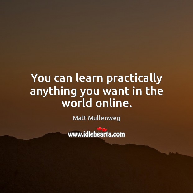 You can learn practically anything you want in the world online. Matt Mullenweg Picture Quote