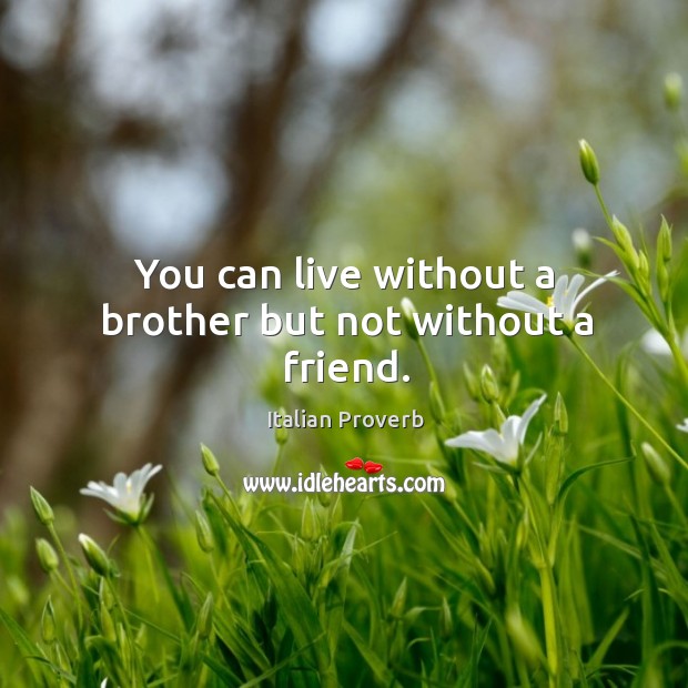 You can live without a brother but not without a friend. Italian Proverbs Image