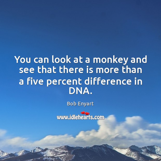 You can look at a monkey and see that there is more than a five percent difference in DNA. Bob Enyart Picture Quote