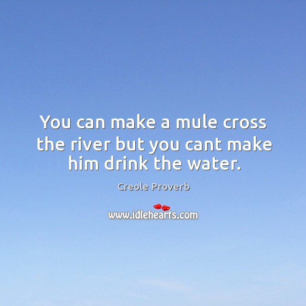 You can make a mule cross the river but you cant make him drink the water. Creole Proverbs Image