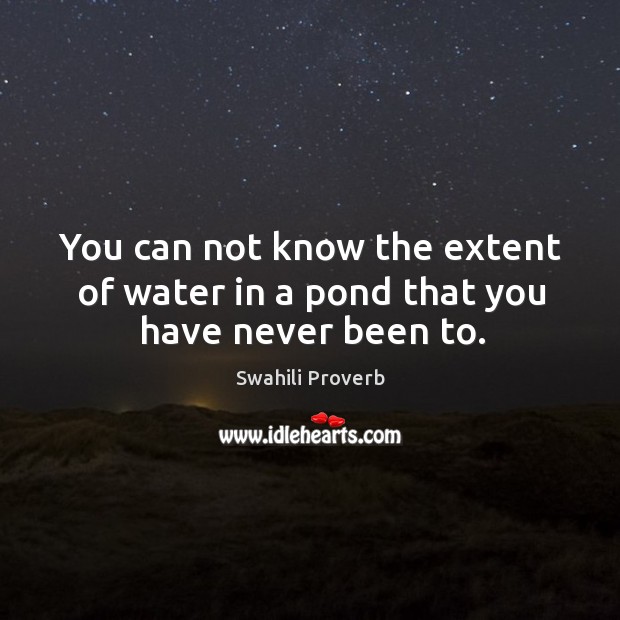 You can not know the extent of water in a pond that you have never been to. Swahili Proverbs Image