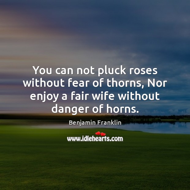 You can not pluck roses without fear of thorns, Nor enjoy a Benjamin Franklin Picture Quote