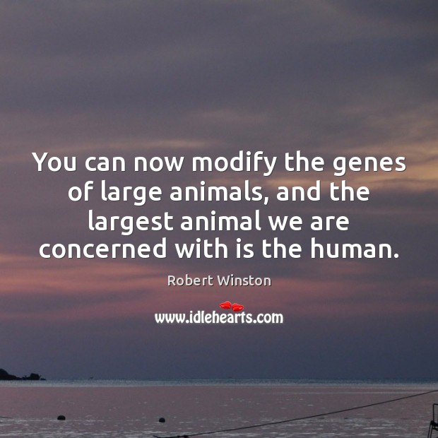 You can now modify the genes of large animals, and the largest Robert Winston Picture Quote