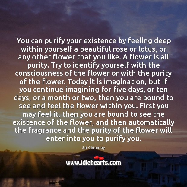 You can purify your existence by feeling deep within yourself a beautiful Image